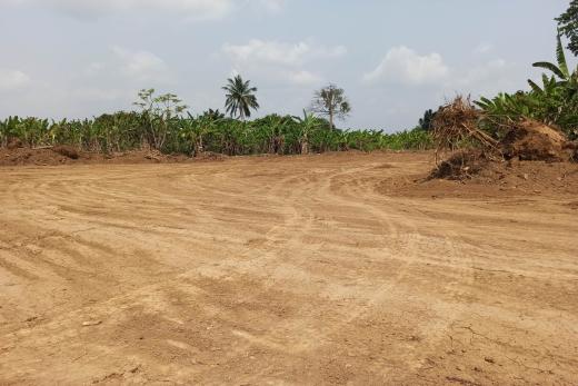 Lena Real Estate - MOULANGA